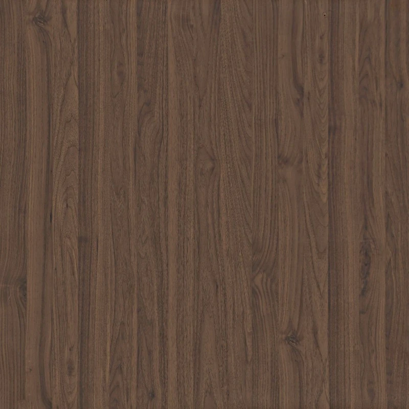 סרט עיתונאים דקורטיביים לשלפוחית